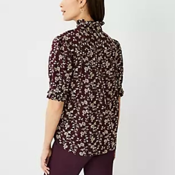Ann Taylor Embroidered Ruffled Blouse Short Sleeve Size PXL - Picture 12 of 12
